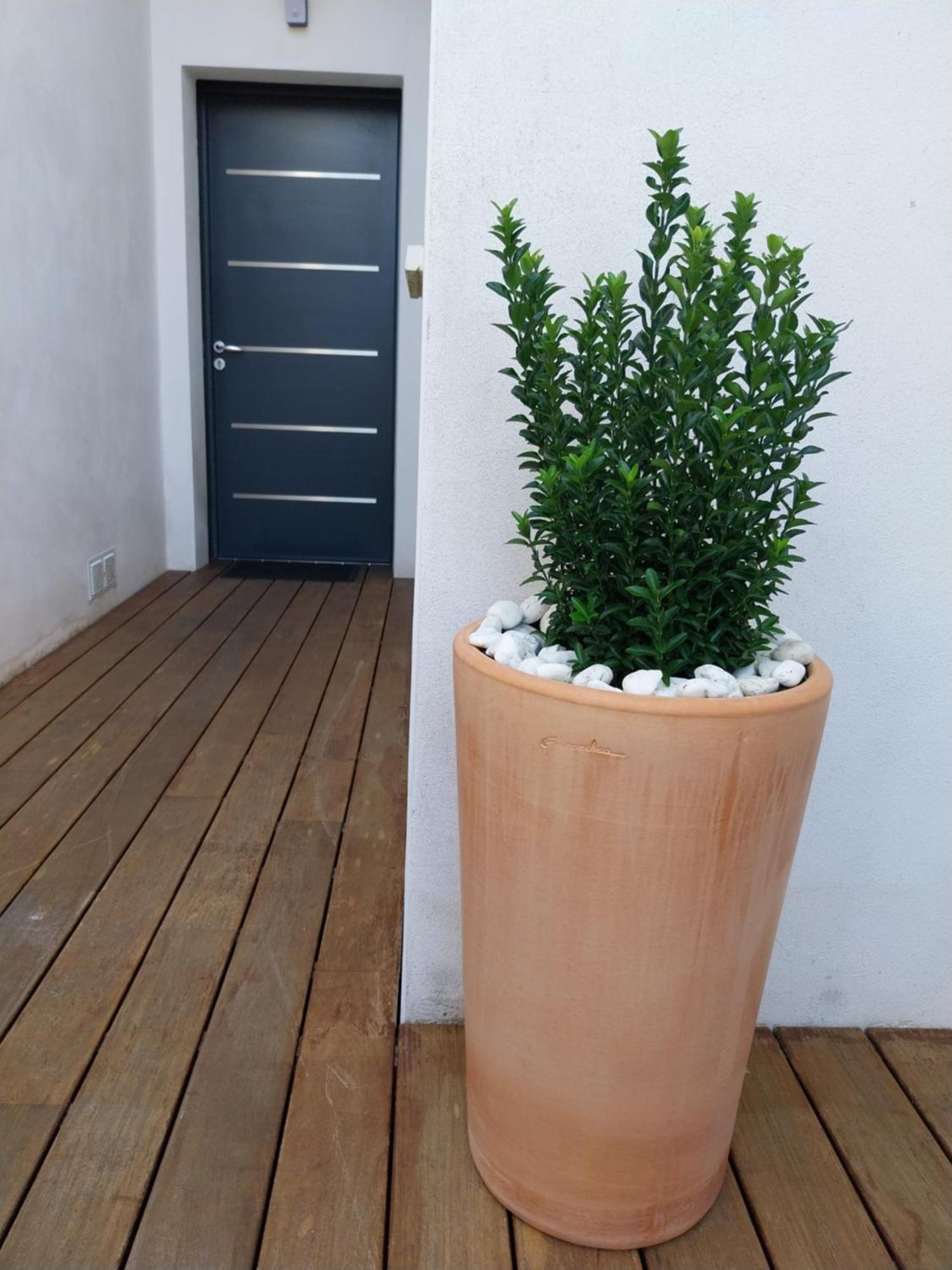 Studio Cocon Enea Bidart, Terrasse Et Parking Exteriör bild